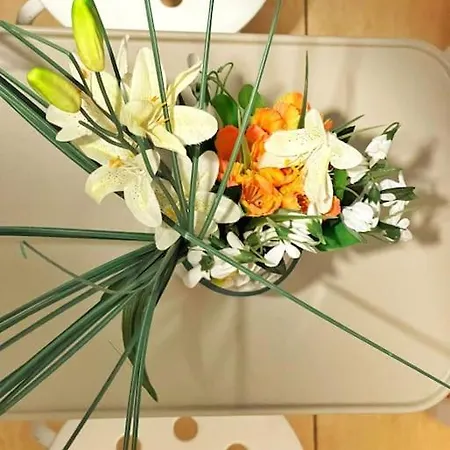 Budget Flat In The Center Apartment *