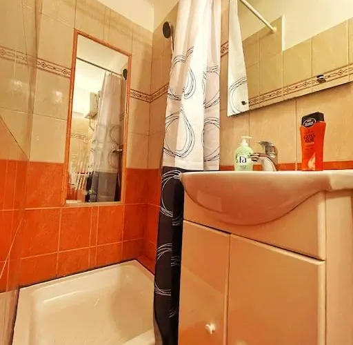 Budget Flat In The Center Appartement *